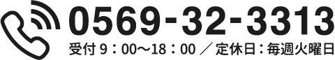 0569-32-3313